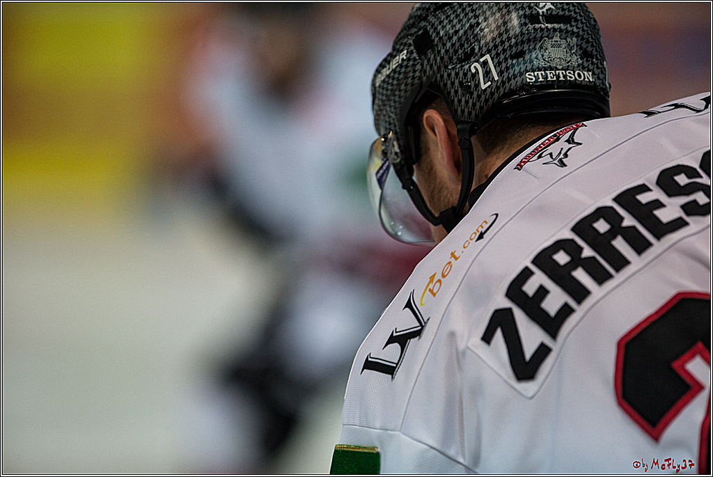 DEL, Iserlohn Roosters - Koelner Haie , 17.02.2017